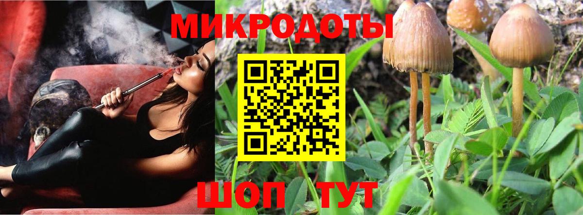 Псилоцибиновые грибы Psilocybe  Вход с VPN  Верхняя Пышма 